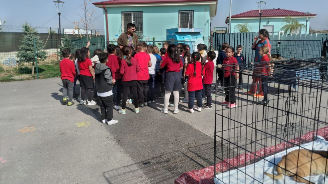 Öğrencilerimiz Keçiören Sokak Hayvanları ve Rehabilitasyon Merkezini Ziyaret Etti